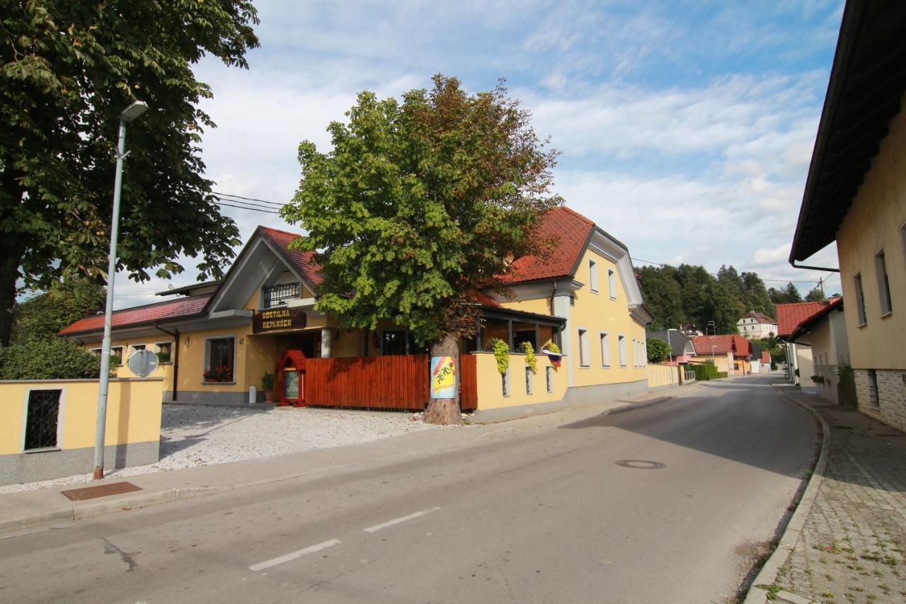 Penzion Repansek Radomlje 外观 照片